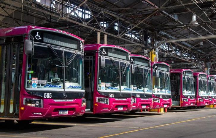 Desde hace un mes ningún colectivo de la 145 sale a la calle.