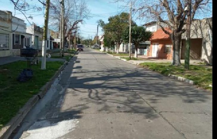 sobre la calle calle melo, los vecinos protegieron a cada uno de sus árboles.