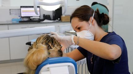 Los dos hospitales tienen guardias las 24 horas ante urgencias.