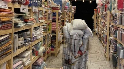 Los descuentos serán del 50% al 70%. Los descuentos serán del 50% al 70%.