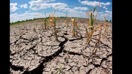 el drama rural ante la falta de agua