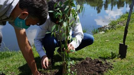 El Ceibo es la flor nacional.