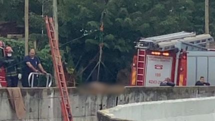 El operativo en el Arroyo del Rey. El operativo en el Arroyo del Rey.