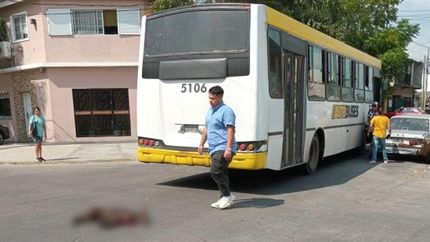 El perro perdió la vida en el acto.