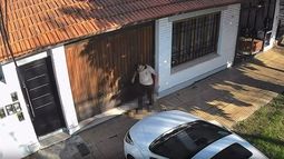 El brutal caso de maltrato animal ocurrido en Temperley quedó filmado.