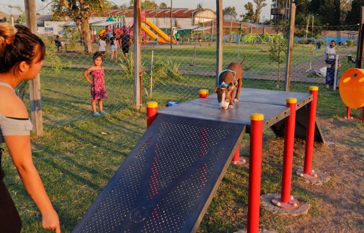 Los juegos en las plazas para los perritos.