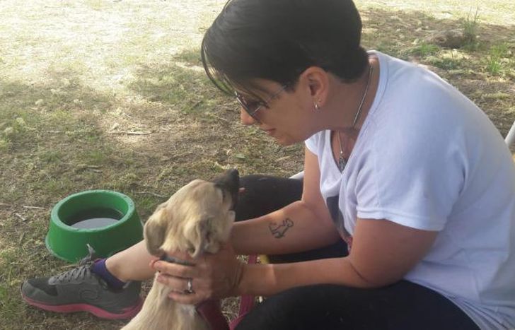 Karina va siempre que puede para ayudar a los perritos que esperan un hogar.