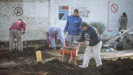 La limpieza es complementada con plantaciones de especies nativas.