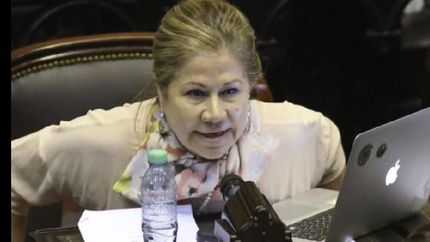 criticas al proyecto oficial de financiamiento de campanas