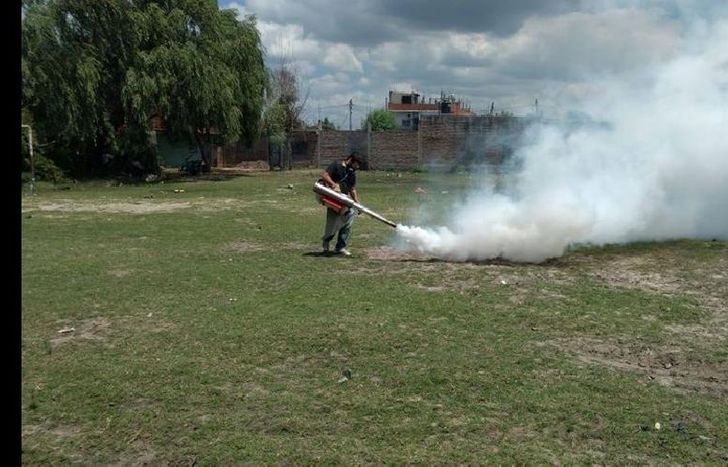 Aclaran que el tipo de roedores que transmiten el Hantavirus no habitan en Lomas.
