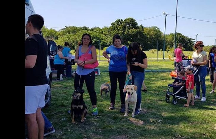 El promedio es de diez adopciones por encuentro.