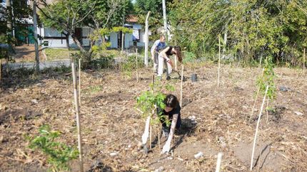 Los participantes aprenderán a producir y plantar diferentes especies.