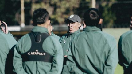 pedro troglio, tras la derrota de banfield: no me voy a dormir tranquilo pedro troglio, tras la derrota de banfield: no me voy a dormir tranquilo