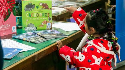 Una nueva colección para fortalecer la lectura en Lomas.