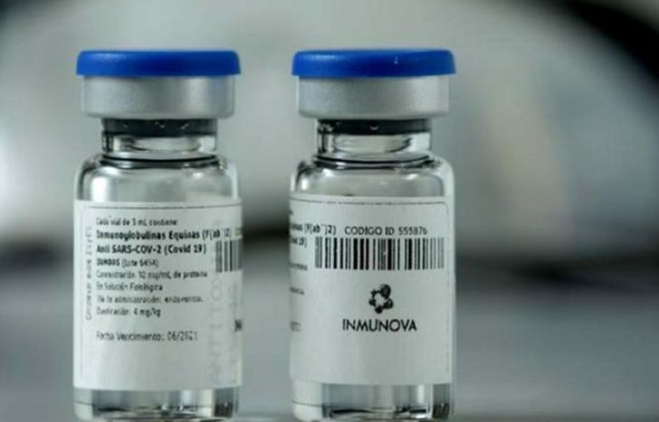 La ANMAT aprobó el suero equino para tratar al Coronavirus.