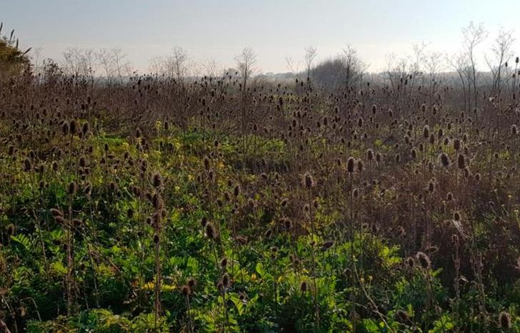 El espacio abre de lunes a viernes de 10 a 17.