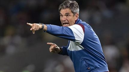 Diario La Unión | Pellegrino analizó el pase a semifinales.