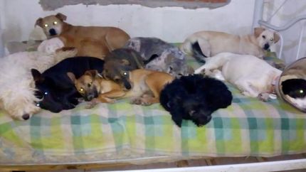 Necesitan un espacio para mudarse.