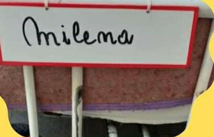 Colocan carteles con los nombres de los internados.