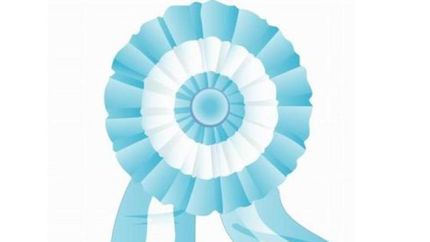 a la escarapela, en su dia