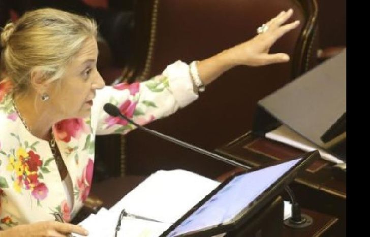 zzzznacp2 NOTICIAS ARGENTINAS BAIRES, DICIEMBRE 29: La senadora nacional por San Luis, Liliana Teresita Negre de Alonso,  esta tarde en el recinto del congreso nacional, en la última sesión del año, en la que se discutió el proyecto que fijó las elecciones del Parlasur en  simultáneo con las nacionales. FOTO: JUAN VARGASzzzz