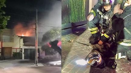 El incendio y el momento del rescate del perrito.