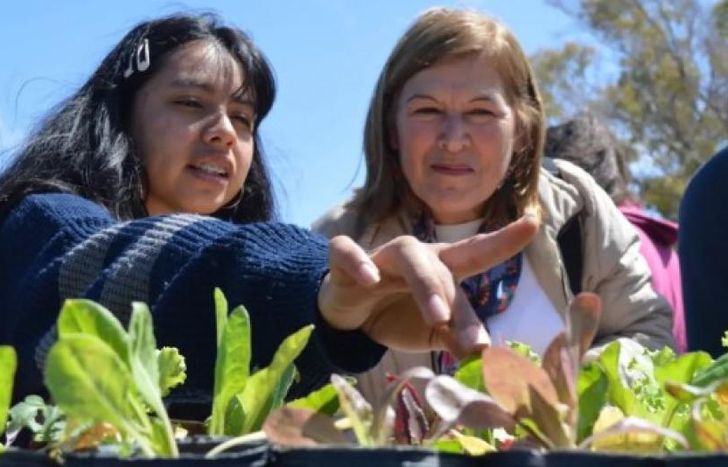 La oportunidad de tener alimentos libres de agrotóxicos.