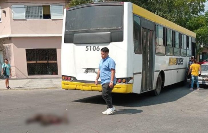 El perro perdió la vida en el acto.