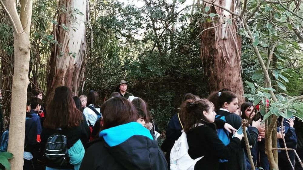 Chicas y chicos recorren los diferentes sectores del predio.
