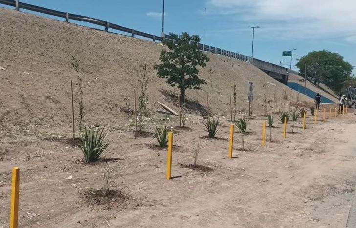 Hubo un operativo sobre Ejército de Los Andes y Colectora.