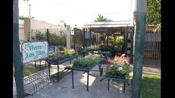 El vivero revalida su rol social con actividades.