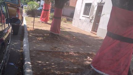 La idea la tomaron de Turdera y quieren que más vecinos se sumen.