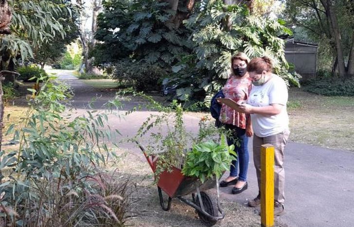 Entregan especies autóctonas a establecimientos educativos.