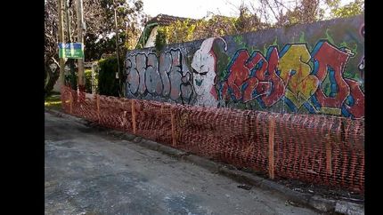 Lomas: siembran plantas nativas donde antes había basurales