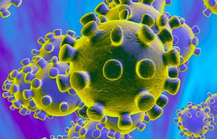 Habría seis meses de inmunidad después de contraer Covid-19.