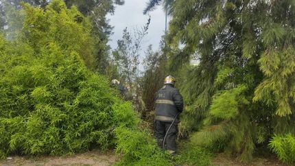 Rápido accionar de los Bomberos de Lomas.