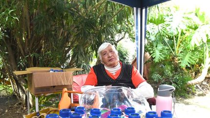 Álida tiene devoción por los chicos y, otra vez, hará una campaña a su favor.