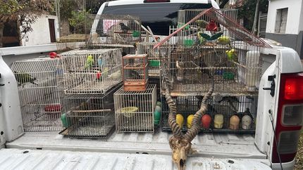 Además de animales, tenían un cráneo de antílope. Además de animales, tenían un cráneo de antílope.