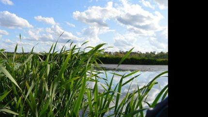 laguna de rocha celebra el dia mundial de los humedales