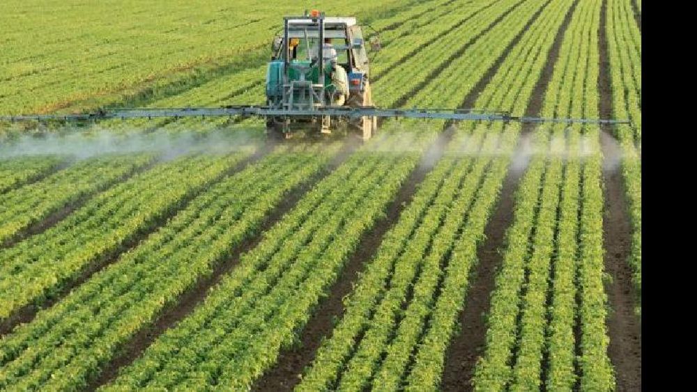 Cuidar al sector agrario, sigue entre las prioridades del Gobierno.