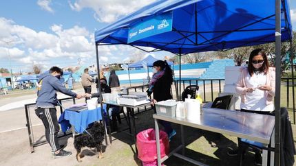 Zoonosis atenderá gratis a los mascotas. Zoonosis atenderá gratis a los mascotas.