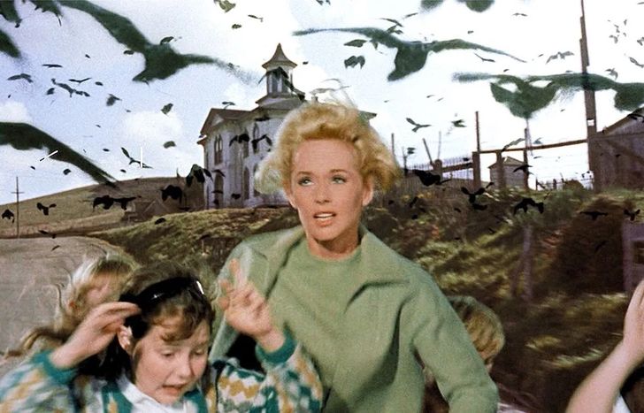 La pelicula Los pájaros será una serie.&nbsp;