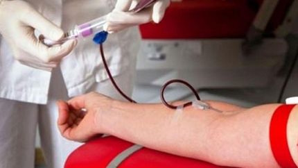 Una alternativa para donar en verano sin necesidad de sacar turno.