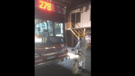 como es el protocolo que aplica la linea 278 para prevenir contagios de coronavirus