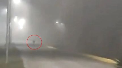 A cuatro años de la misteriosa aparición de un duende en la UNLZ.