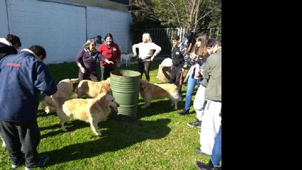 mas vecinos de lomas mejoran su salud interactuando con mascotas