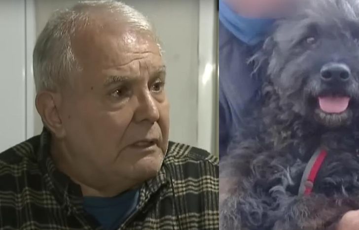 La víctima del robo, lamentó el asesinato de su perro.