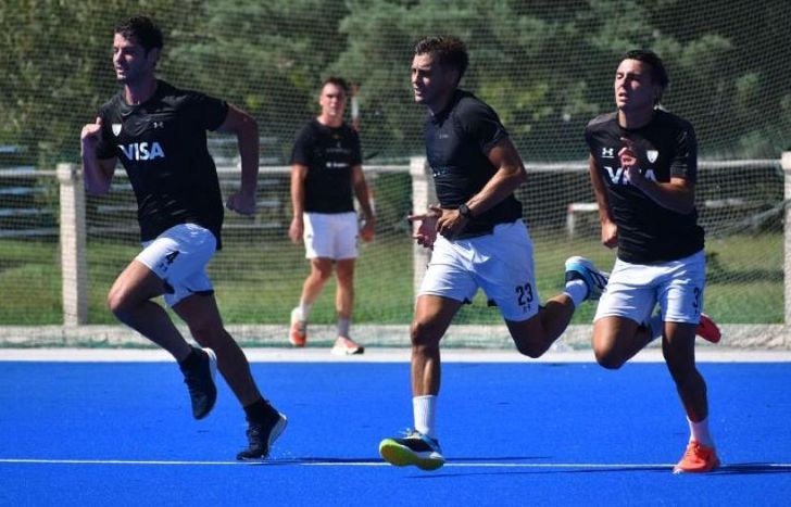 Los Leones trabajan en el CeNARD.