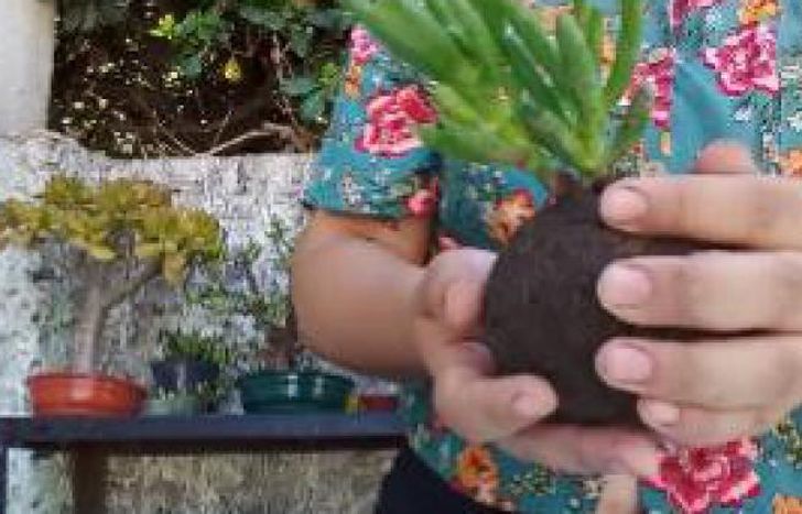 Un trabajo manual con salida laboral.