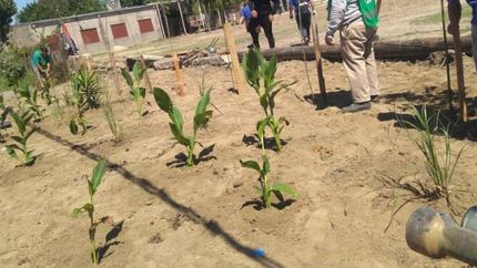 clausuran basurales y crean nuevos espacios verdes en lomas